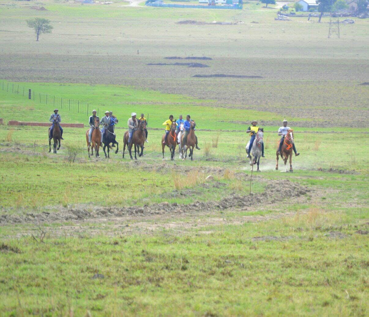Horse Riding Development Programme